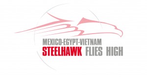 steelhawk case histories